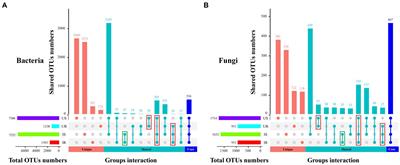 Microbial landscapes of the rhizosphere soils and roots of Luffa cylindrica plant associated with Meloidogyne incognita